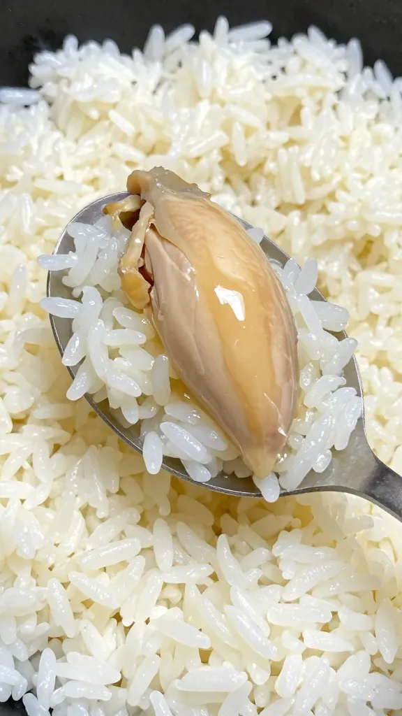 spoonful of fluffy rice with chicken juices, shallow depth