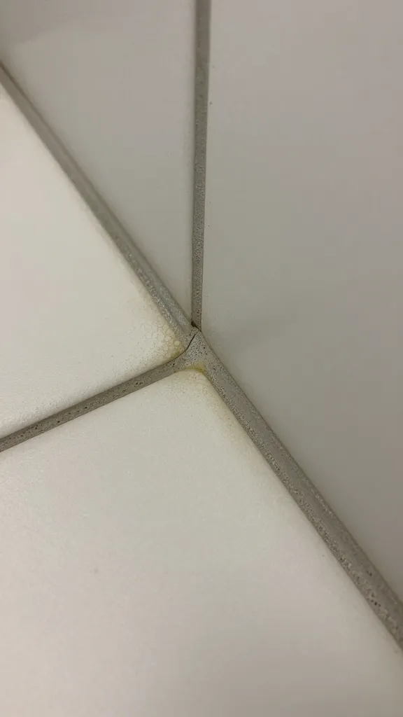 closeup of stained bathroom grout line with mold specks